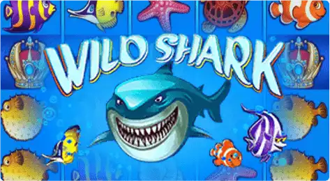 Wild Shark slot machine features
