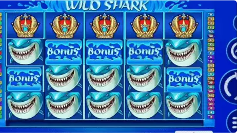 Wild Shark slot with bonus for Indian players
