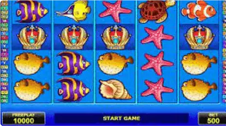 Paylines in Wild Shark slot game